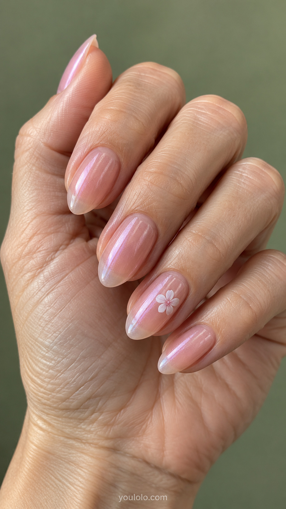 A sheer pink glaze with a white petal accent manicure