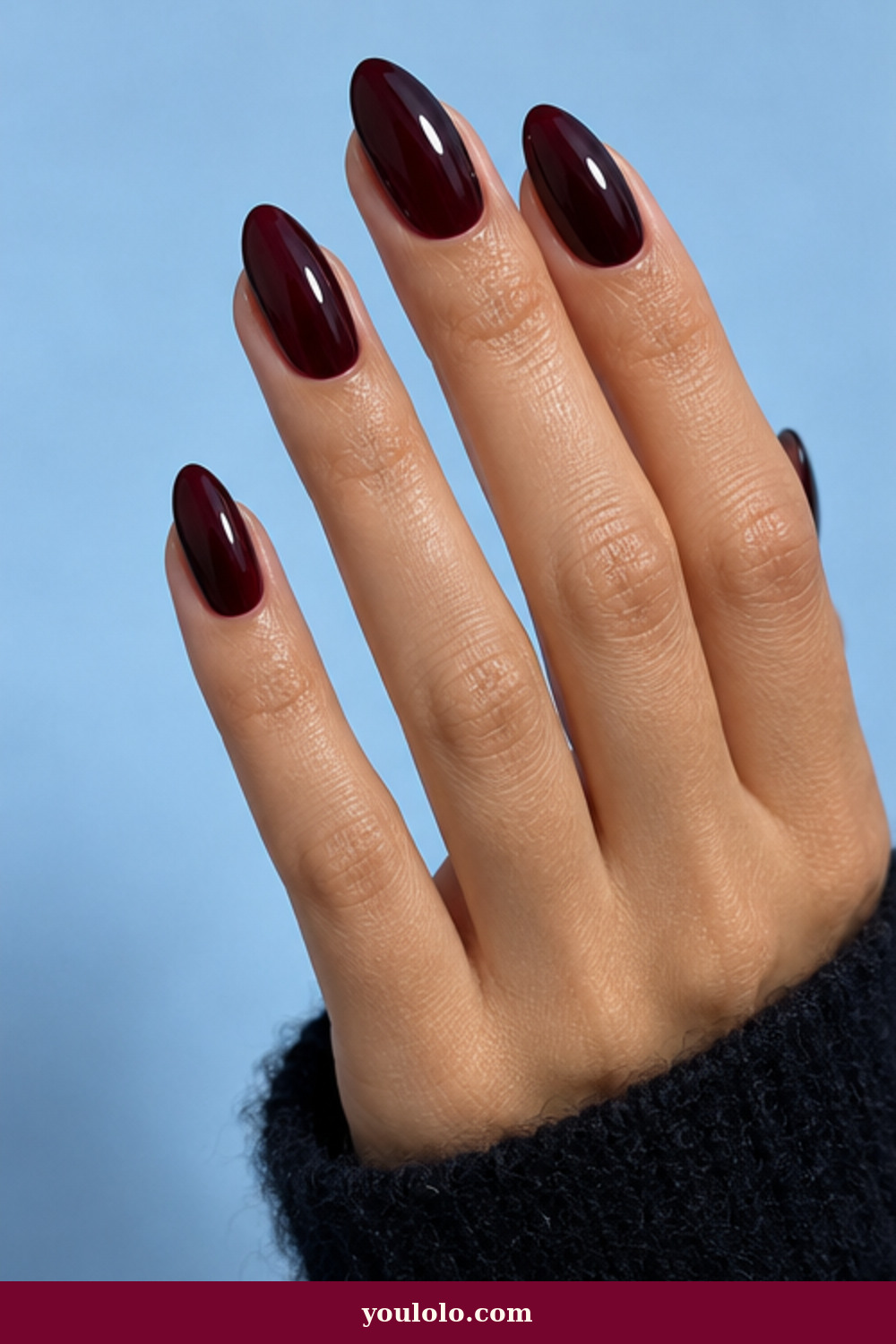 Cool Girl Nails idea 17: Black Cherry Glass