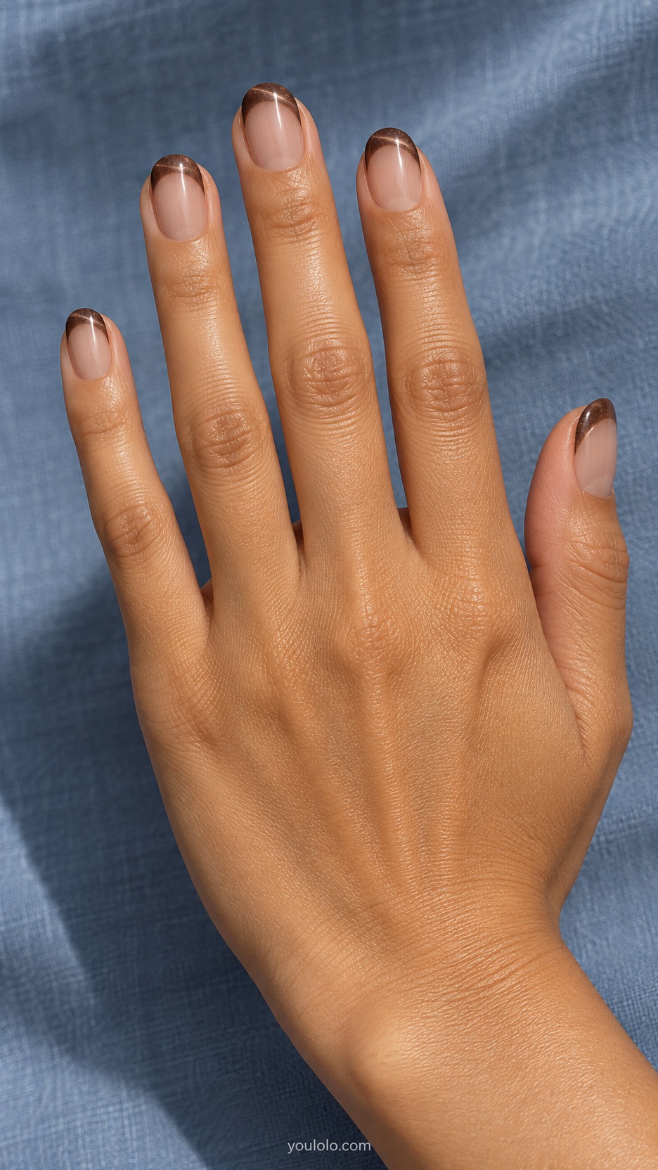 French Cat Eye Nails: short round sheer beige nails shallow espresso magnetic French tips