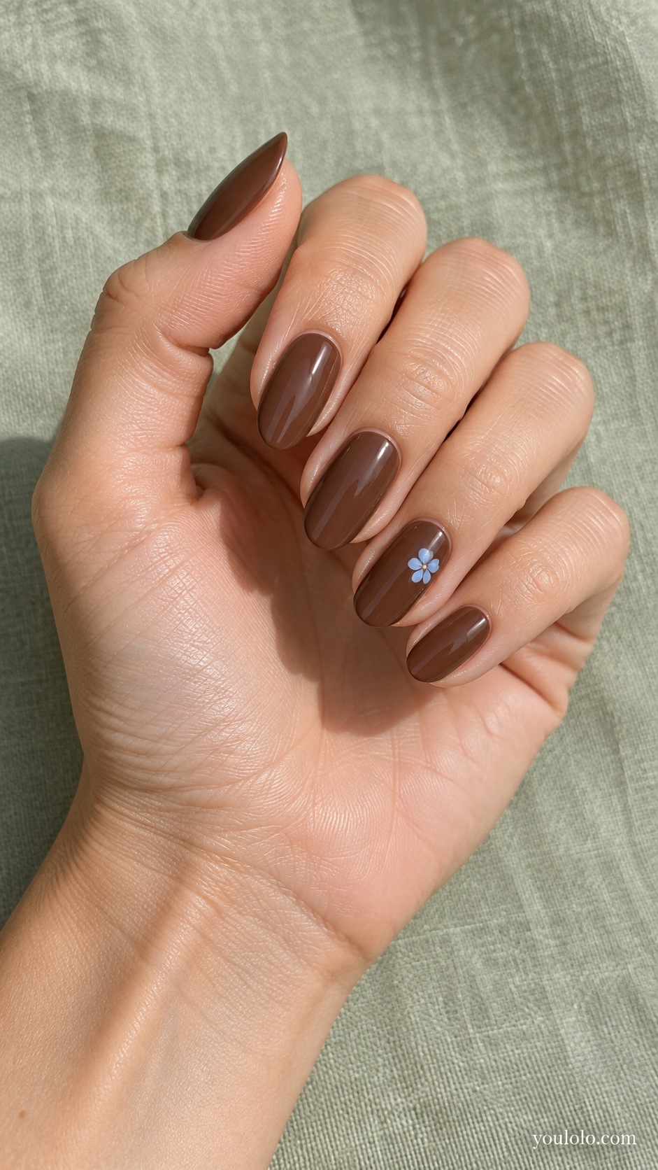 Blue Flower on Cocoa — medium oval cocoa brown nails ring nail one tiny pale blue five petal flower
